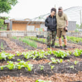 The Farmer's Market Movement: A Catalyst for Change in Tarrant County