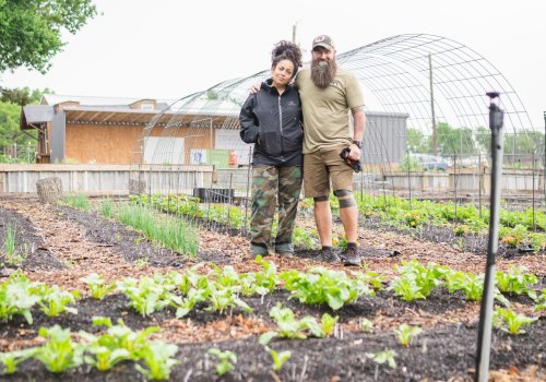 The Positive Impact of the Farmer's Market Movement on Local Ecosystems and Food Systems in Tarrant County